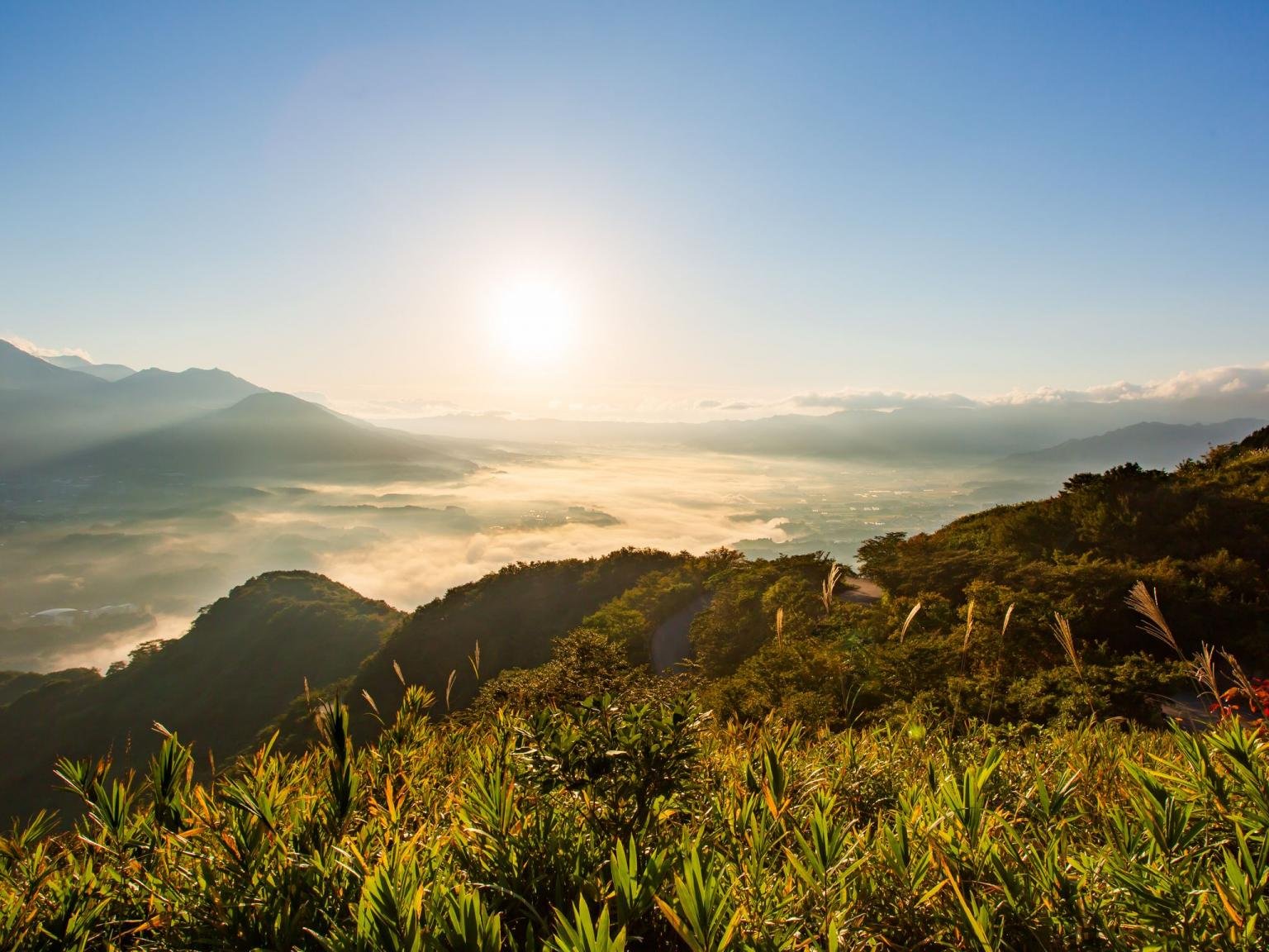 🏞️ 타와라야마 고개 전망대(다와라야마토게 덴보조) 이미지 1